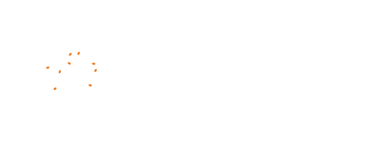 PLE-Conseil